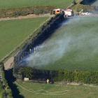 Firefighters extinguish a hedge fire near Upper Junction this morning. Photo: Gerard O'Brien