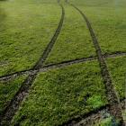 Tyre tracks cross a sports field at the Oval in Dunedin at the weekend. PHOTO: GERARD O’BRIEN