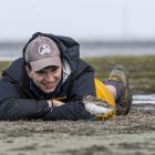 Getting up close to a southern New Zealand dotterel at Awarua Bay near Bluff is University of...