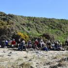 The Dunedin 60+ Club Trampers stop for lunch on a hike to Akatore, south of Taieri Mouth. Photo:...