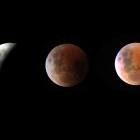 Stages of the eclipse. PHOTO: JOHN COSGROVE