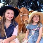 Scarlett (7) and Adaline (5) Smith, are keen young farmers, along with their two brothers, on...