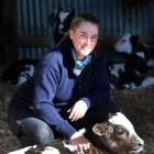 Myfanwy Alexander checks on the residents in the calf shed.