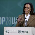 US Vice President Kamala Harris told the UN climate talks that countries "must make up for lost...