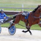 Millwood Nike is out of Sunday's Tennant Engineering New Zealand Pacing Oaks. Photo: HRNZ