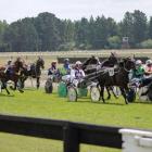 Photo: Amberley Trotting Club