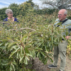 Redcliffs Residents' Association chair Christine Toner and vice-chair Chris Doudney inspect the...