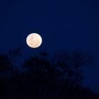 The moon seen from Belleknowes. Photo: Motohide Miyahara 