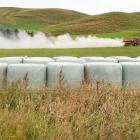 Fertiliser being applied. PHOTO: STEPHEN JAQUIERY