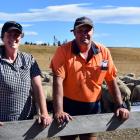 Farm owner Cassie Becker and block manager Hamish Wade in a pen of halfbred wether lambs at their...