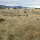Land near Taieri Airfield could become part of a logistics park if a vision promoted by Southern...