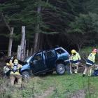 Fire and Emergency New Zealand (Fenz) crews respond to a single-vehicle crash in Blueskin Rd,...