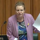 Dunedin Labour MP Rachel Brooking let out all her frustrations when addressing Parliament about...