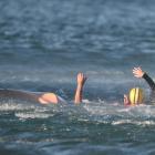 Emergency services conduct a water rescue operation in Roseneath yesterday after an elderly man...