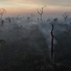 Smoke rises into the air as trees burn amongst vegetation in the Pantanal in Corumba. Photo:...