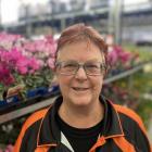 Mitre 10 Mega Queenstown’s retail manager Marlene Crimp in the garden department. Photo: Philip...