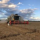 Arable farmers took in higher crop yields last summer. PHOTO: DAVID HILL