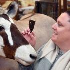 Proctor Auctions co-owner Heidi Proctor displays a rare huia feather and a taxidermied African...