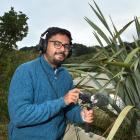 Dunedin wildlife podcaster and film-maker Karthic SS at Tomahawk Beach on Friday. PHOTO: GREGOR...