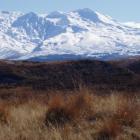 Mt Ruapehu. File photo