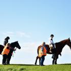 Riding for the Disabled is just one of many voluntary groups in the Waitaki district. "Almost...