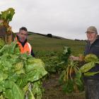 Glenside Simmentals owner Garry McCorkindale (right) and manager Daniel Wark load a ute with...