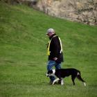 At the New Zealand Sheep Dog Trial Associations’ New Zealand championships last week, Paul...