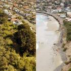 In winter 2015, a series of storms caused significant St Clair dune retreat between July 22 (left...