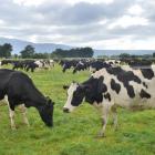 Southland had relatively favourable farming conditions, and the strongest housing and...