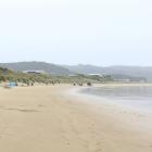 Curio Bay in the Catlins is one place where people are freedom camping in an area they're not...