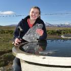 Naseby farmer Teea Francis cracks some ice on a trough yesterday. PHOTO: GREGOR RICHARDSON