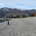 Playing on a very extended Lake Hawea shoreline are brothers (left) Rupert, 3, and Bruce, 6,...