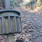 A prong earns its place as taonga. Photo: Clare Fraser