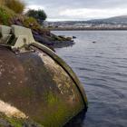 Stormwater outlet Andersons Bay Inlet. Photo: Stephen Jaquiery