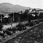 A newly-formed path in the upper Dunedin Botanic Garden. — Otago Witness, 7.10.1924 