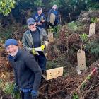 Papatowai conservationists on a forest planting working-bee last month (from left) Blair...