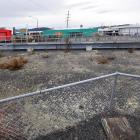 A cap covers the former gasworks’ tar pit beside Hillside Rd. PHOTO: STEPHEN JAQUIERY