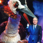 John Oliver's campaign for the pūteketeke raised global awareness of Aotearoa birds. Photo:...