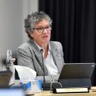 Council chief executive Sandy Graham. PHOTO: ODT FILES