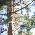 Waimate disc golf player Caitlin Murray, 10, enjoys a round at Knottingley Park.PHOTO: REBECCA...