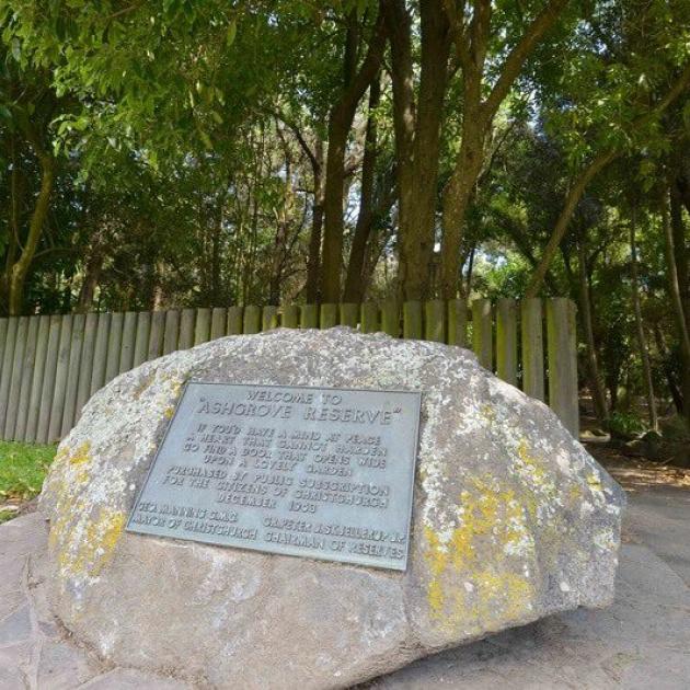 Ashgrove Reserve at the top end of Ashgrove Tce. Photo: Friends of Ashgrove Reserve – Ōpāwaho...