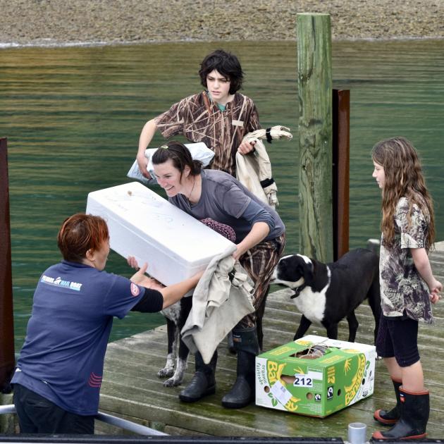 As the boat foghorn ricocheted around Waimaru Bay, two collies bound down expectantly: Bindy...