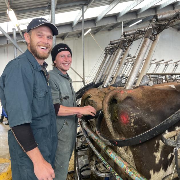 Hamilton Farms contract milker Hamish Dempsey (left) shows second-in-charge Jason Mackintosh heat...