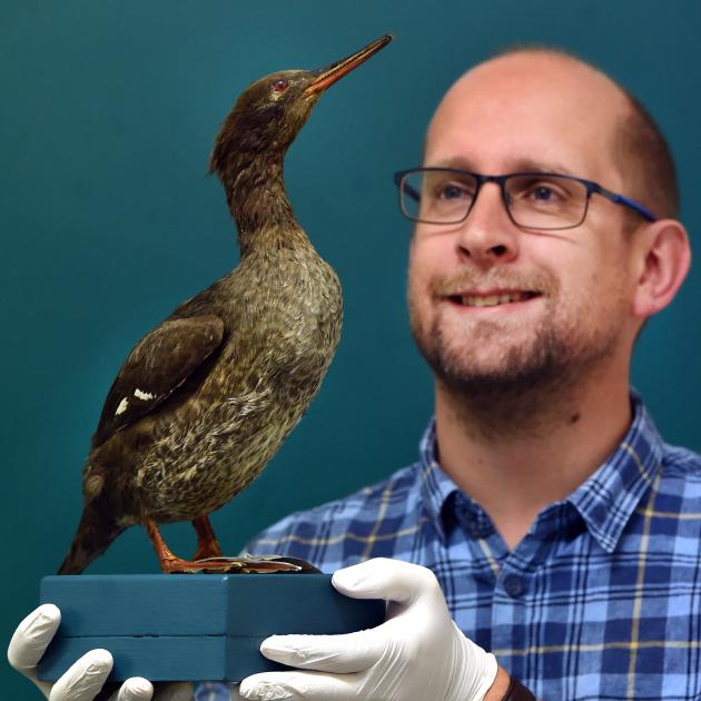 University of Otago Palaeogenetics Laboratory director Assoc Prof Nic Rawlence with a...