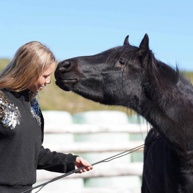 Lina Kurze works with her horse Kaala during a workshop in Taupo last month. Photo: Kelly Wilson