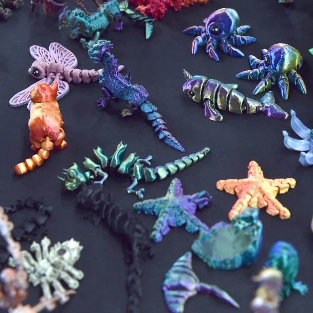 A collection of Ms Sando’s 3D-printed creations.