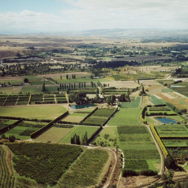 Plant And Food Research's 57Ha site (foreground, centre) at Earnscleugh. PHOTO: SUPPLIED