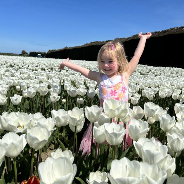 Tessa Titchmarsh frolicks in a tulip paddock near Edendale during Labour Weekend last year. PHOTO...