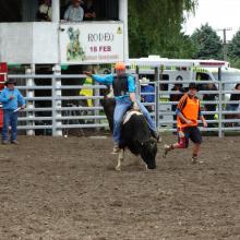 Connor Sandri, of Oamaru, holds on tight as he competes in the second-division bull ride at the...