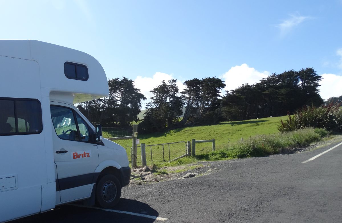 Dozens Of Freedom Camping Fines Issued Otago Daily Times Online News